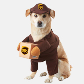 Pet Costumes